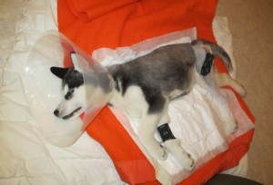 23399_10200115133391508_1269760447_n