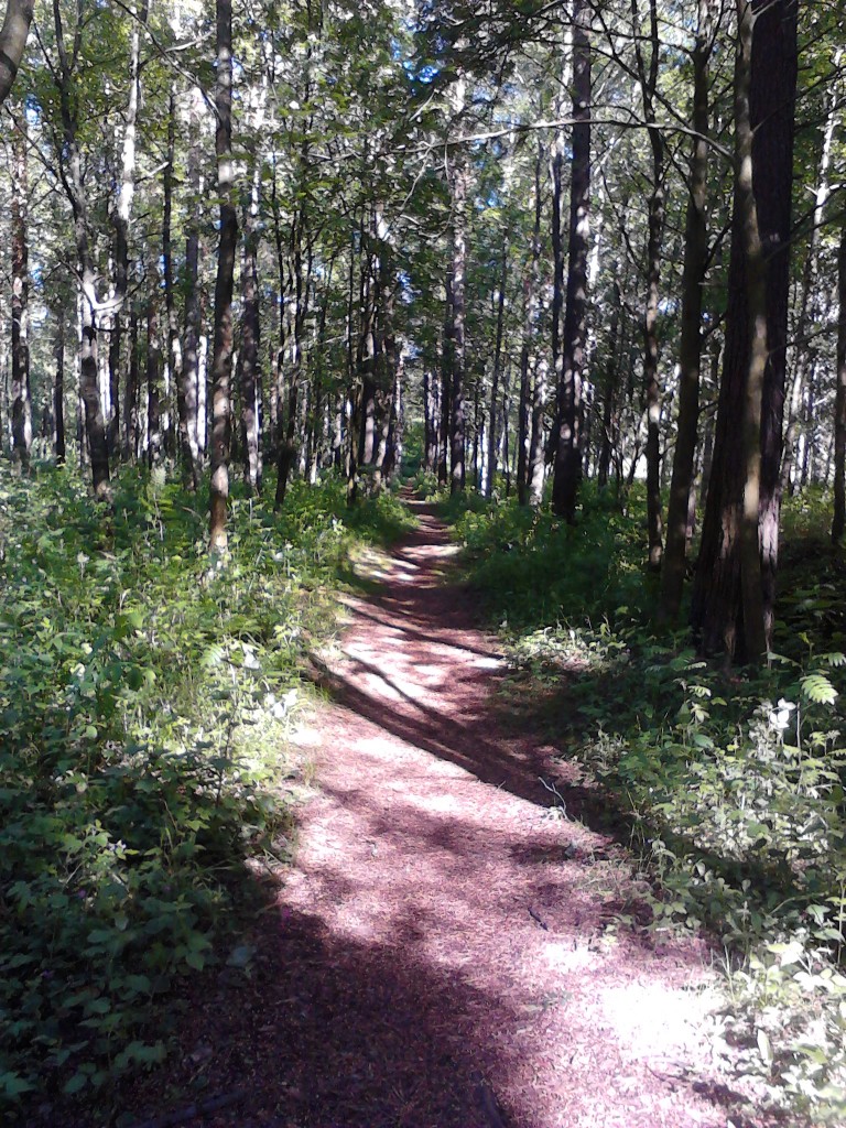 Kaunis hetki Oulussa ennen juhannusta 2014.